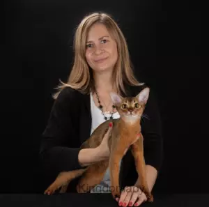 Гипнотерапевт Соколова Е.А.